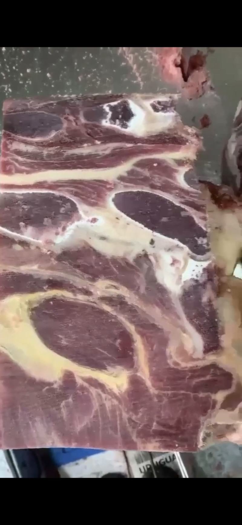 火凤肋眼皇：美食界的佼佼者
