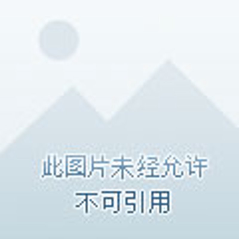 羔羊卷烘焙艺术：从手工艺到市场需求的变化
